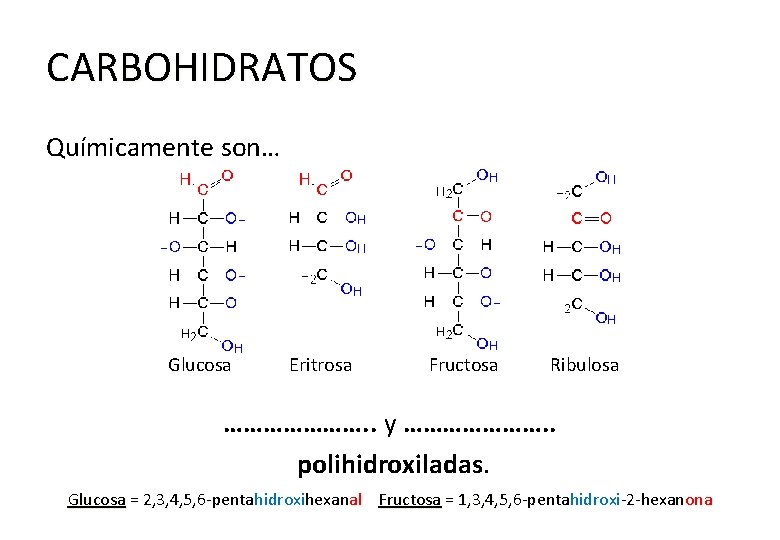 CARBOHIDRATOS Químicamente son… Glucosa Eritrosa Fructosa Ribulosa …………………. . y …………………. . polihidroxiladas. Glucosa
