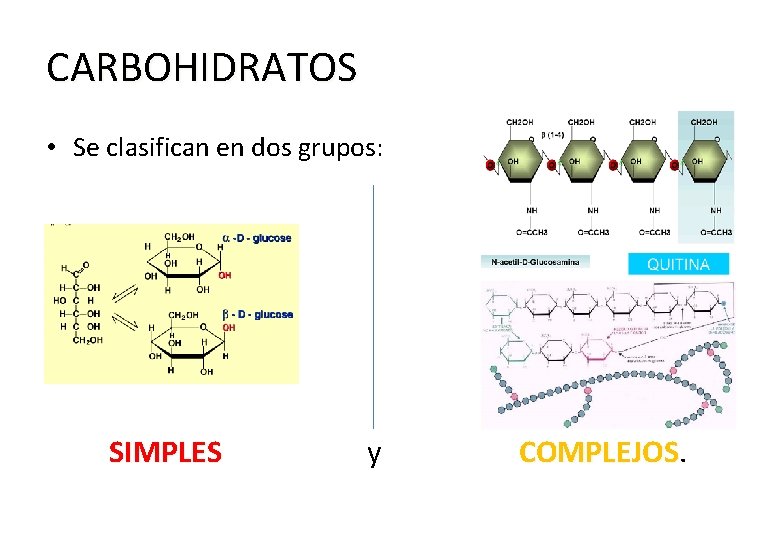 CARBOHIDRATOS • Se clasifican en dos grupos: SIMPLES y COMPLEJOS 