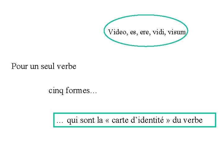 Video, es, ere, vidi, visum Pour un seul verbe cinq formes… … qui sont