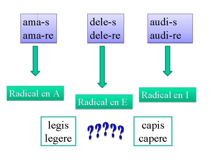 ama-s ama-re Radical en A legis legere dele-s dele-re Radical en E audi-s audi-re