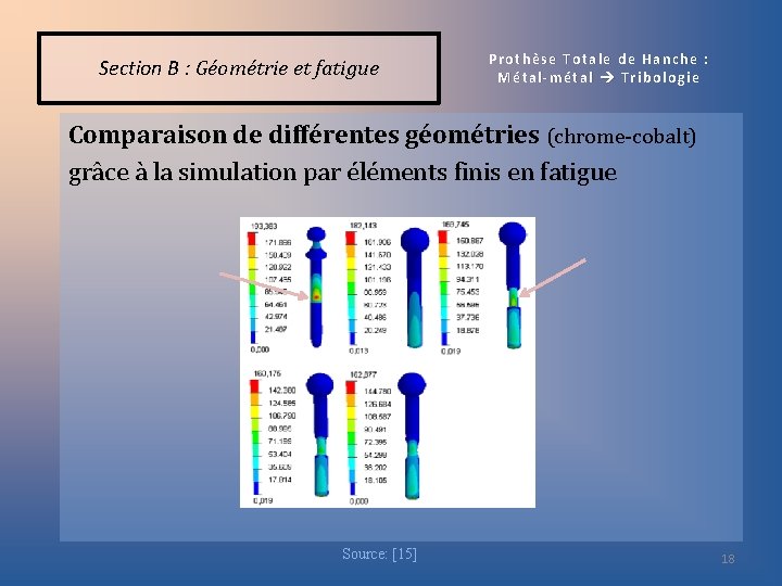 Section B : Géométrie et fatigue Prothèse Totale de Hanche : Métal-métal Tribologie Comparaison
