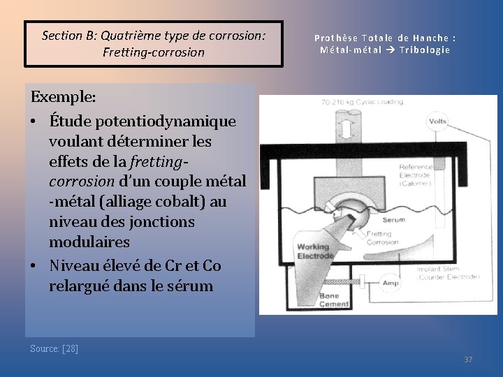 Section B: Quatrième type de corrosion: Fretting-corrosion Prothèse Totale de Hanche : Métal-métal Tribologie