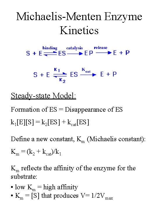 LAB 3 Enzyme Studying galactosidase activity at
