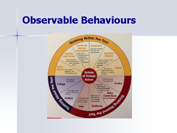 Observable Behaviours 