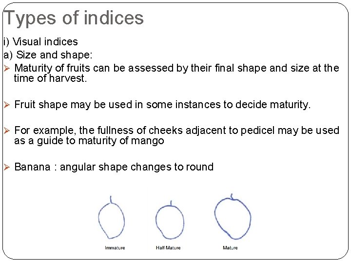 Types of indices i) Visual indices a) Size and shape: Ø Maturity of fruits