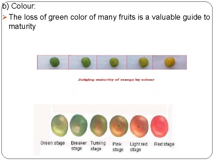 b) Colour: Ø The loss of green color of many fruits is a valuable