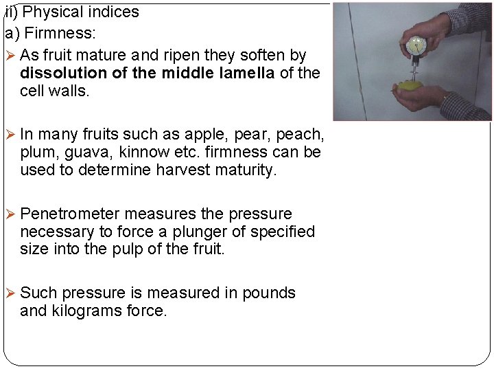 ii) Physical indices a) Firmness: Ø As fruit mature and ripen they soften by