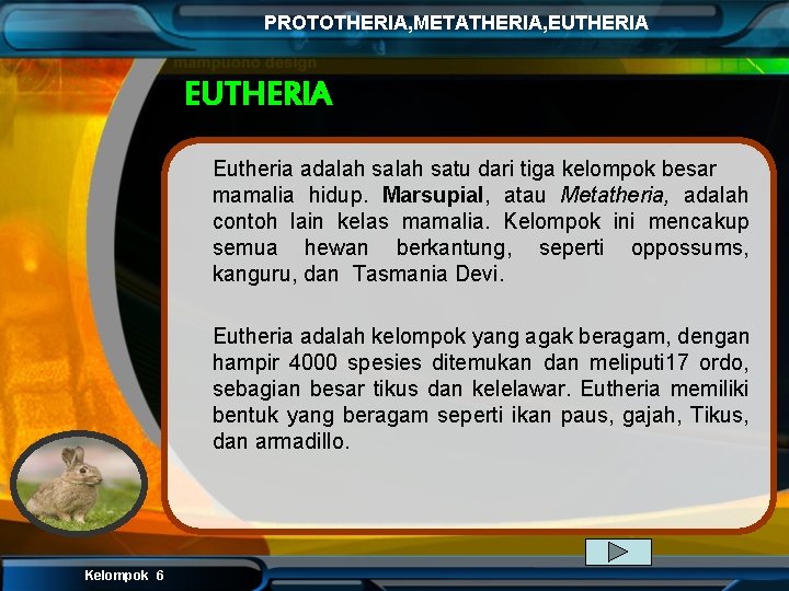 PROTOTHERIA, METATHERIA, EUTHERIA Eutheria adalah satu dari tiga kelompok besar mamalia hidup. Marsupial, atau