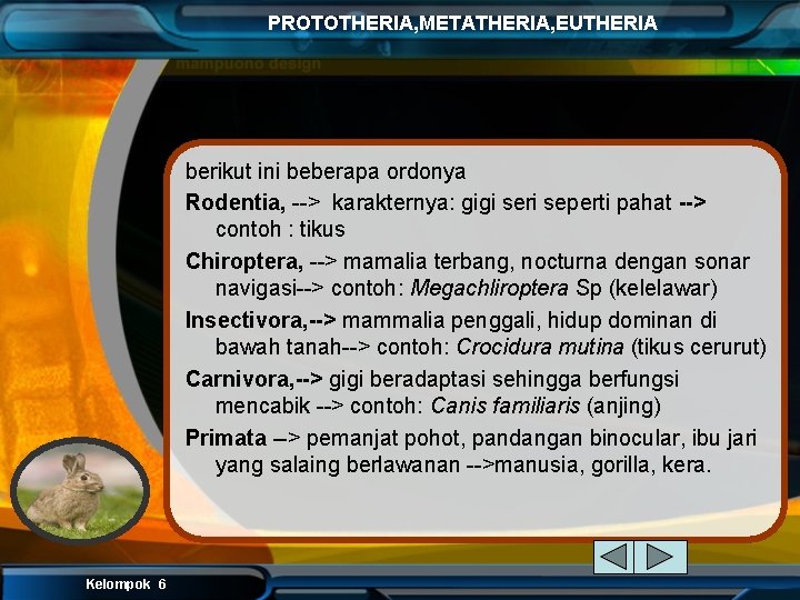 PROTOTHERIA, METATHERIA, EUTHERIA berikut ini beberapa ordonya Rodentia, --> karakternya: gigi seri seperti pahat