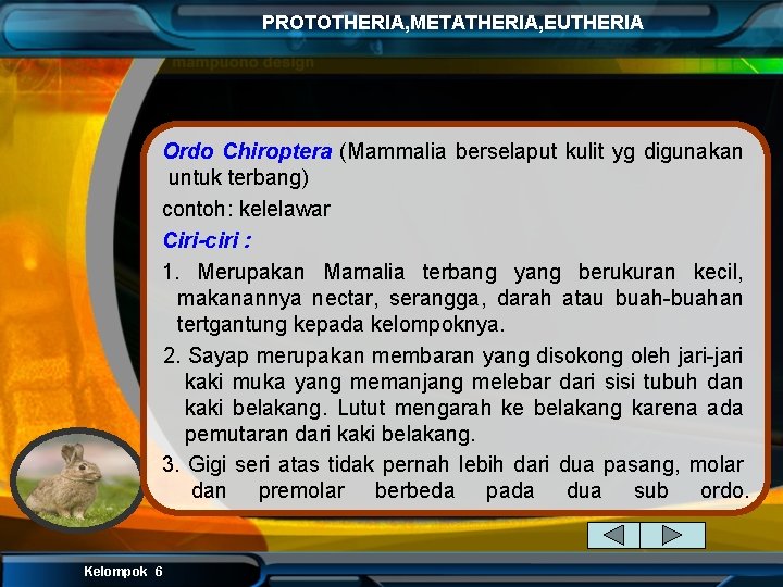 PROTOTHERIA, METATHERIA, EUTHERIA Ordo Chiroptera (Mammalia berselaput kulit yg digunakan untuk terbang) contoh: kelelawar