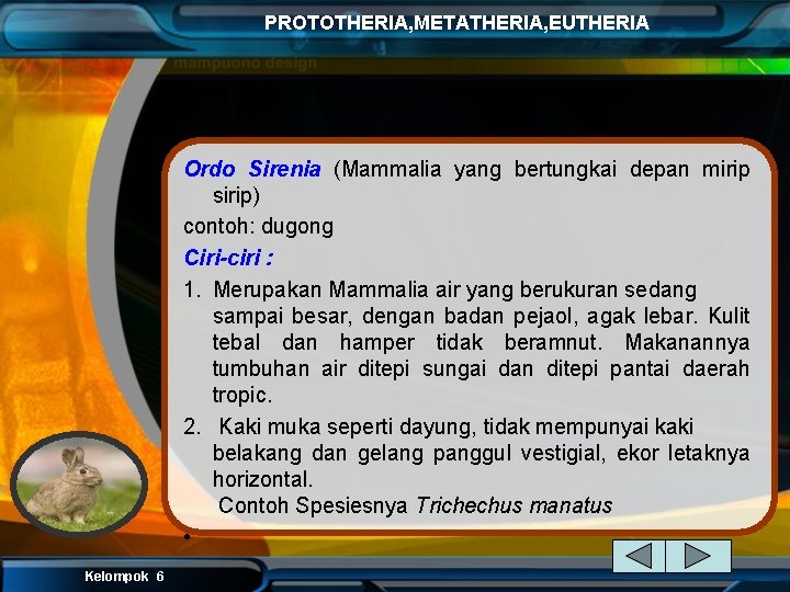 PROTOTHERIA, METATHERIA, EUTHERIA Ordo Sirenia (Mammalia yang bertungkai depan mirip sirip) contoh: dugong Ciri-ciri