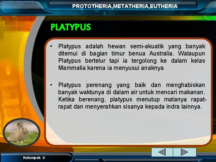 PROTOTHERIA, METATHERIA, EUTHERIA PLATYPUS • Platypus adalah hewan semi-akuatik yang banyak ditemui di bagian