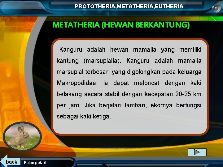 PROTOTHERIA, METATHERIA, EUTHERIA METATHERIA (HEWAN BERKANTUNG) Kanguru adalah hewan mamalia yang memiliki kantung (marsupialia).