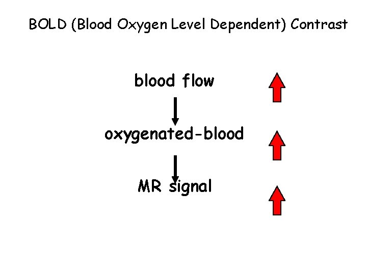 BOLD (Blood Oxygen Level Dependent) Contrast blood flow oxygenated-blood MR signal 