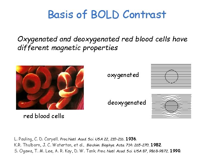 Basis of BOLD Contrast Oxygenated and deoxygenated red blood cells have different magnetic properties