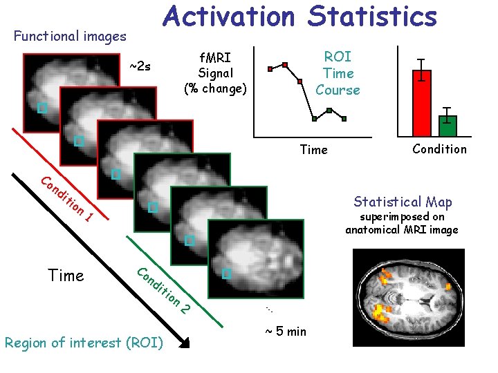 Activation Statistics Functional images ROI Time Course f. MRI Signal (% change) ~2 s