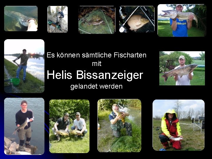 Es können sämtliche Fischarten mit Helis Bissanzeiger gelandet werden 