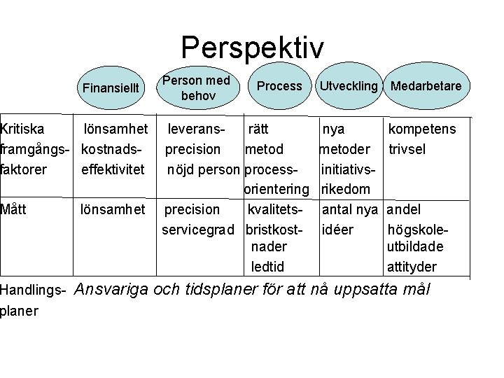 Perspektiv Finansiellt Kritiska lönsamhet framgångs- kostnadsfaktorer effektivitet Mått Handlingsplaner lönsamhet Person med behov Process