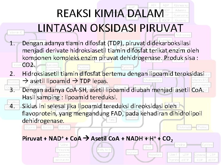 REAKSI KIMIA DALAM LINTASAN OKSIDASI PIRUVAT 1. 2. 3. 4. Dengan adanya tiamin difosfat