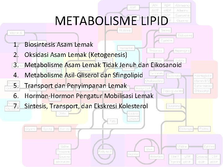 METABOLISME LIPID 1. 2. 3. 4. 5. 6. 7. Biosintesis Asam Lemak Oksidasi Asam