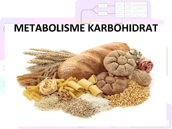 METABOLISME KARBOHIDRAT 