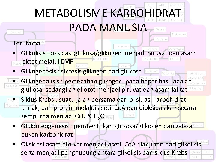 METABOLISME KARBOHIDRAT PADA MANUSIA Terutama: • Glikolisis : oksidasi glukosa/glikogen menjadi piruvat dan asam