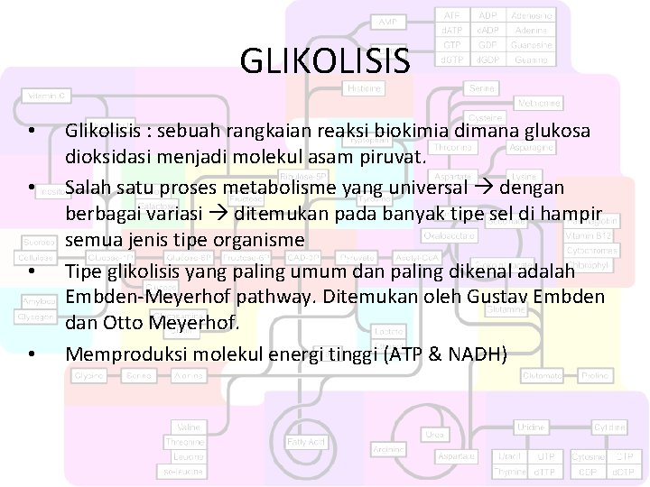 GLIKOLISIS • • Glikolisis : sebuah rangkaian reaksi biokimia dimana glukosa dioksidasi menjadi molekul
