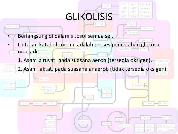 GLIKOLISIS • • Berlangsung di dalam sitosol semua sel. Lintasan katabolisme ini adalah proses