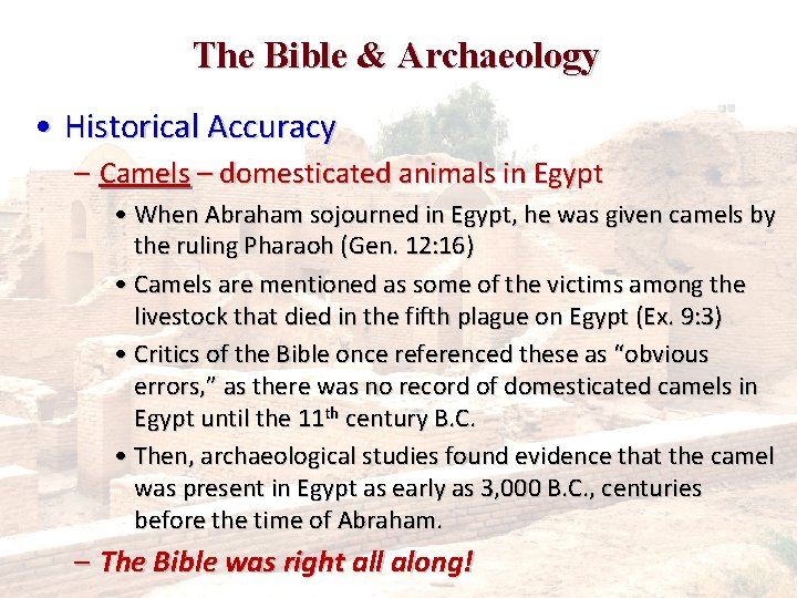 The Bible & Archaeology • Historical Accuracy – Camels – domesticated animals in Egypt