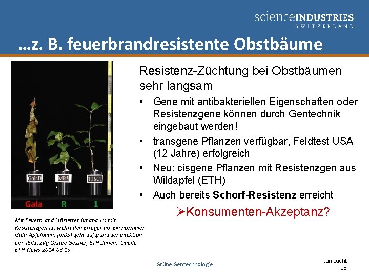 …z. B. feuerbrandresistente Obstbäume Resistenz-Züchtung bei Obstbäumen sehr langsam • Gene mit antibakteriellen Eigenschaften