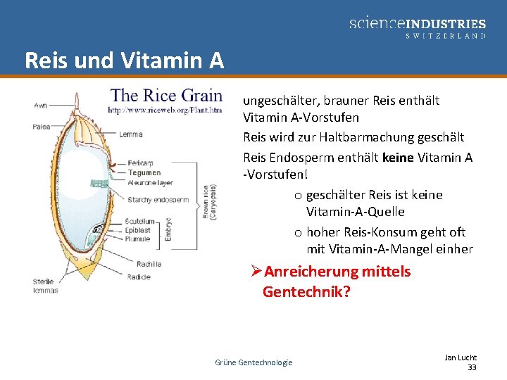 Reis und Vitamin A ungeschälter, brauner Reis enthält Vitamin A-Vorstufen Reis wird zur Haltbarmachung