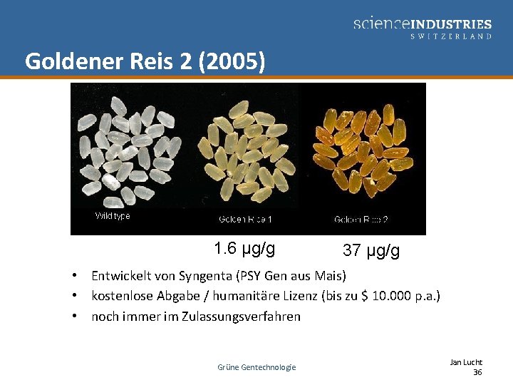 Goldener Reis 2 (2005) 1. 6 μg/g 37 μg/g • Entwickelt von Syngenta (PSY