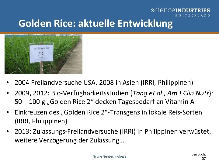 Golden Rice: aktuelle Entwicklung • 2004 Freilandversuche USA, 2008 in Asien (IRRI, Philippinen) •