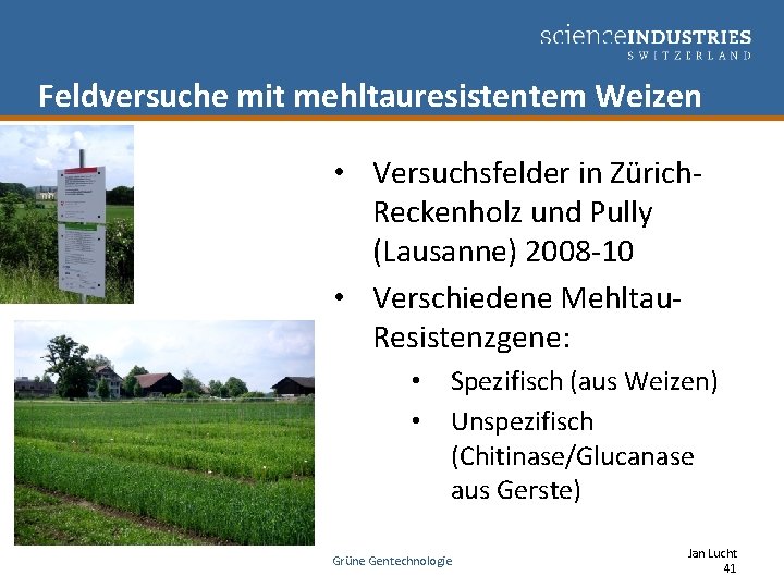 Feldversuche mit mehltauresistentem Weizen • Versuchsfelder in Zürich. Reckenholz und Pully (Lausanne) 2008 -10