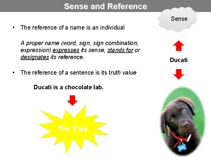 Sense and Reference Sense • The reference of a name is an individual A