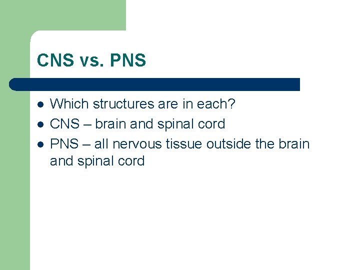 CNS vs. PNS l l l Which structures are in each? CNS – brain