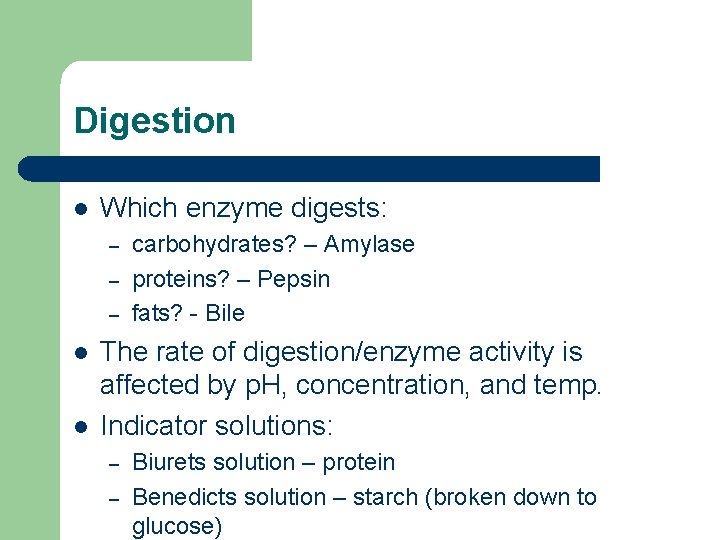 Digestion l Which enzyme digests: – – – l l carbohydrates? – Amylase proteins?