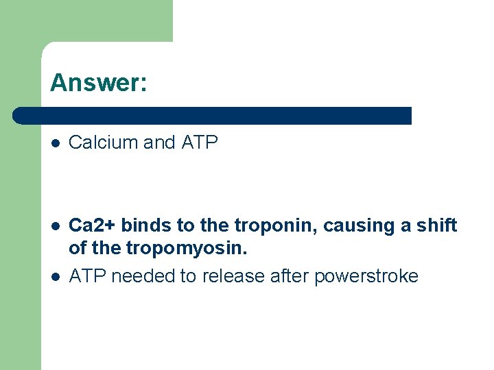 Answer: l Calcium and ATP l Ca 2+ binds to the troponin, causing a