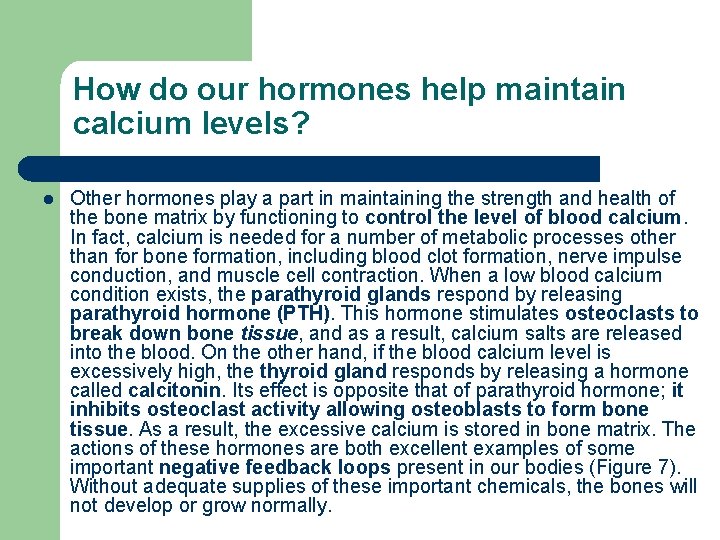How do our hormones help maintain calcium levels? l Other hormones play a part
