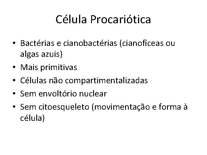 Célula Procariótica • Bactérias e cianobactérias (cianofíceas ou algas azuis) • Mais primitivas •