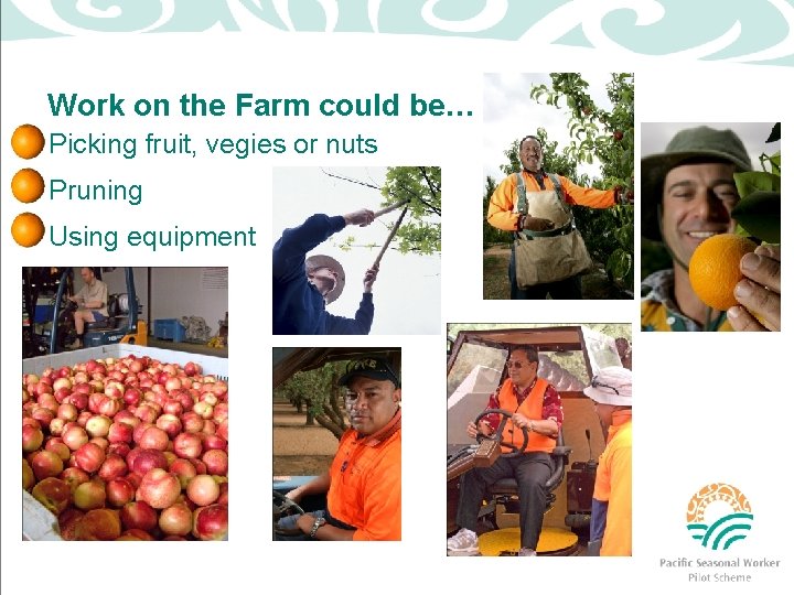 Work on the Farm could be… Picking fruit, vegies or nuts Pruning Using equipment