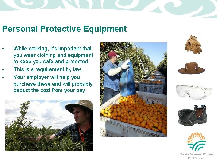 Personal Protective Equipment • • • While working, it’s important that you wear clothing