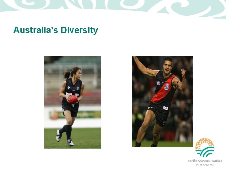 Australia’s Diversity 