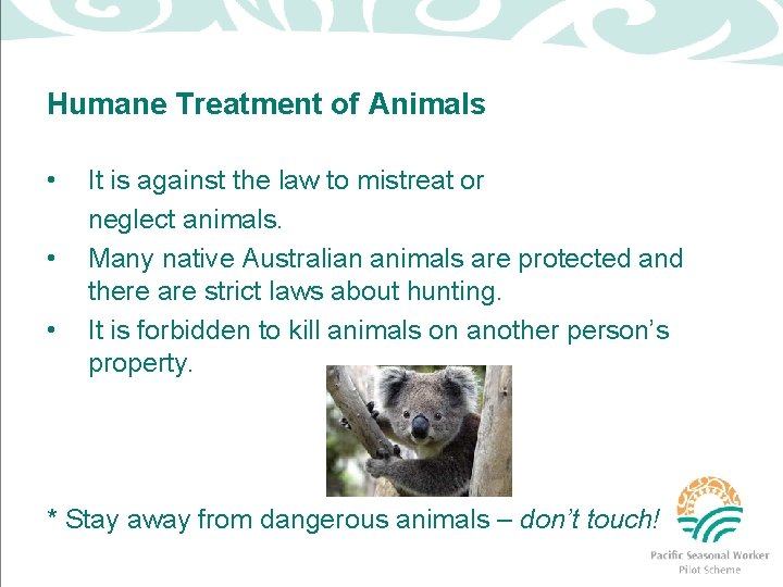 Humane Treatment of Animals • • • It is against the law to mistreat