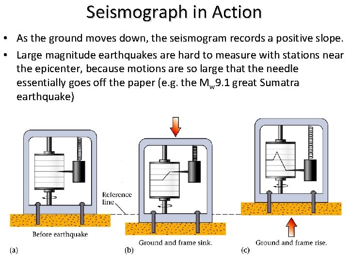 Seismograph in Action • As the ground moves down, the seismogram records a positive