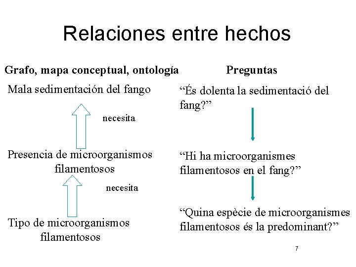 Relaciones entre hechos Grafo, mapa conceptual, ontología Mala sedimentación del fango Preguntas “És dolenta