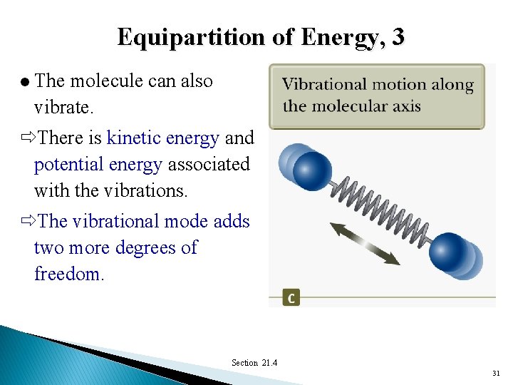 Equipartition of Energy, 3 l The molecule can also vibrate. There is kinetic energy