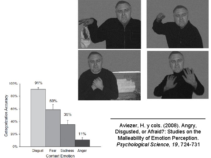 Aviezer, H. y cols. (2008). Angry, Disgusted, or Afraid? : Studies on the Malleability