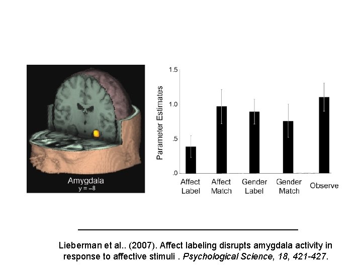 Lieberman et al. . (2007). Affect labeling disrupts amygdala activity in response to affective