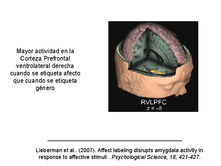 Mayor actividad en la Corteza Prefrontal ventrolateral derecha cuando se etiqueta afecto que cuando